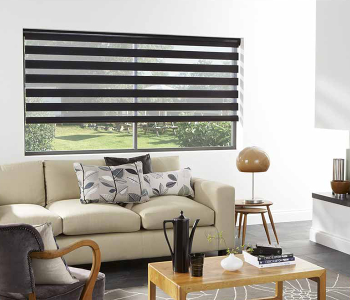 vision blinds