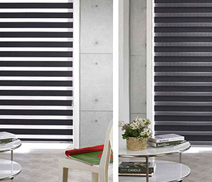zebra blinds